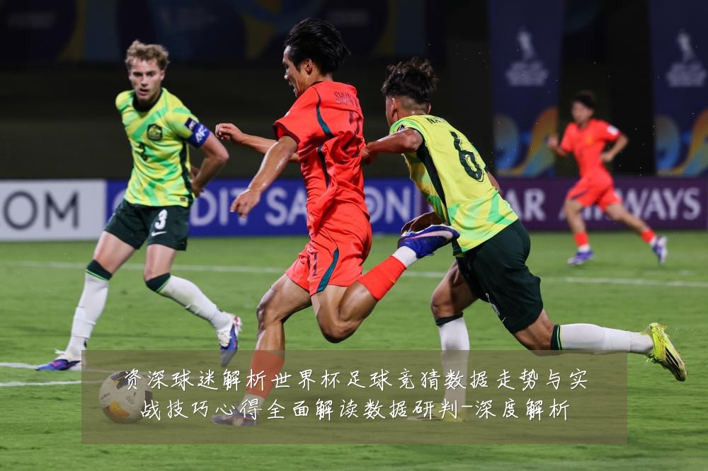 资深球迷解析世界杯足球竞猜数据走势与实战技巧心得全面解读数据研判-深度解析
